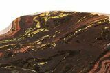 Polished Tiger Iron Stromatolite Slab - Billion Years #239610-1
